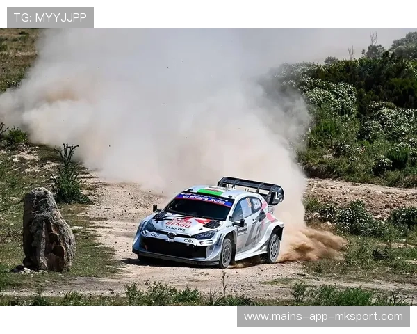 拉力赛挑战赛落幕，多支车队在复杂路面上展现实力