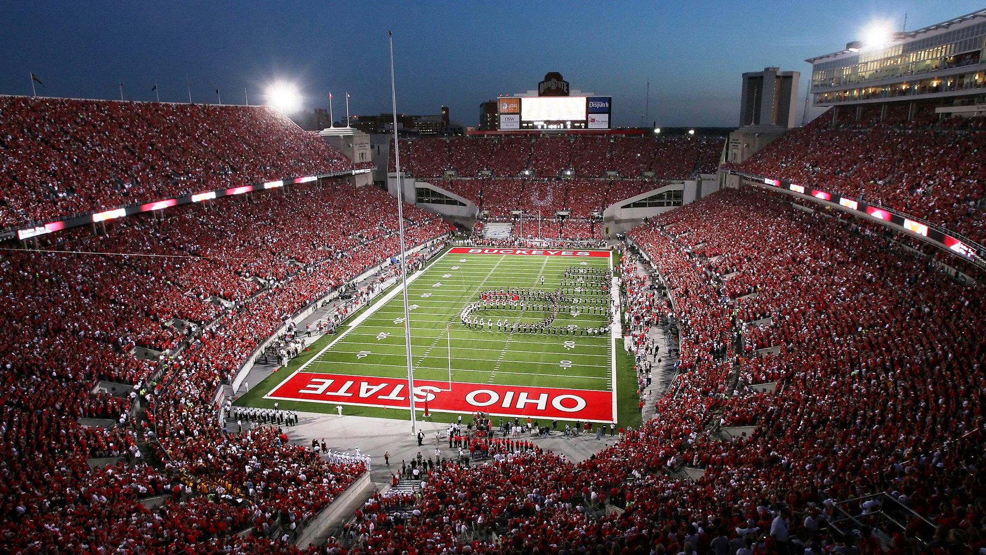 游泳自由泳项目成绩不断刷新